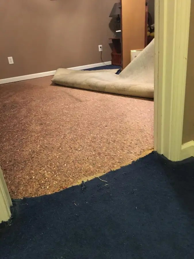 Carpet pad removal revealing water damage during Drying & Dehumidification in Kennedy