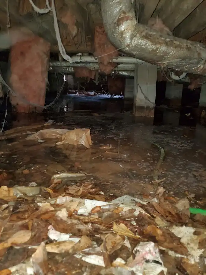 Crawl space flood assessment for Leak Detection & Repair in Kennedy