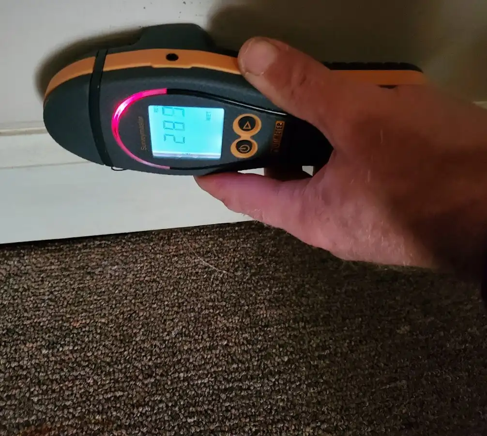 Moisture detection at baseboard during Mold Inspection & Testing in Kennedy